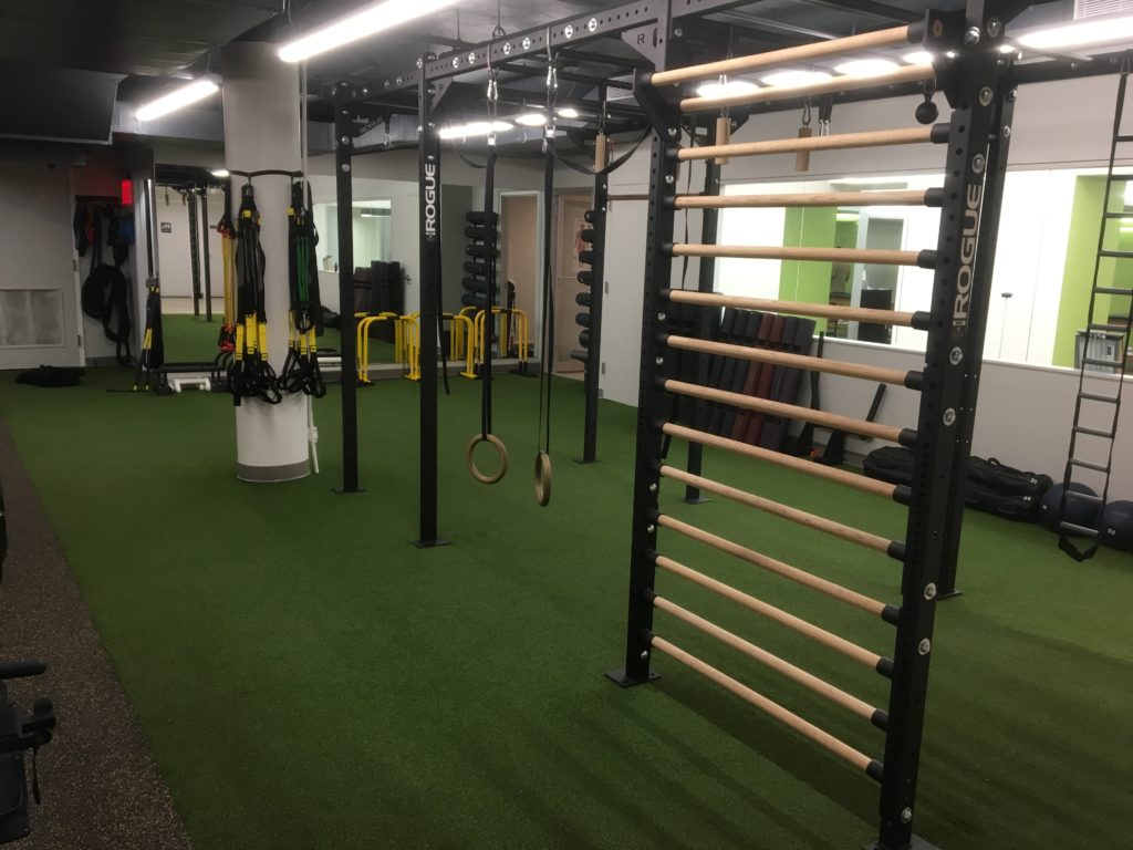 Custom Rogue rig with pull-up bars and stall bars